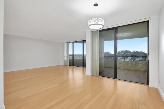 spare room featuring a wealth of natural light, light hardwood / wood-style floors, and expansive windows