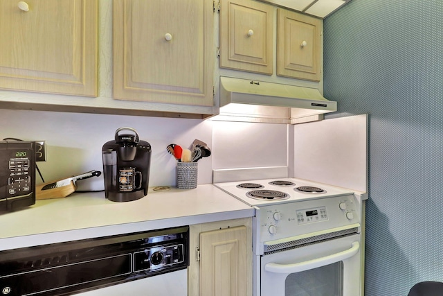 kitchen with white electric range oven and dishwashing machine