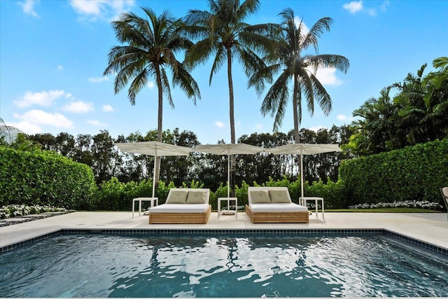 view of pool with an outdoor living space and a patio area