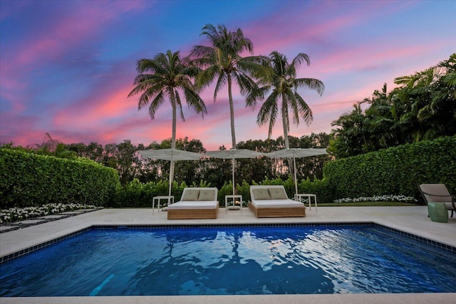 pool at dusk featuring a patio