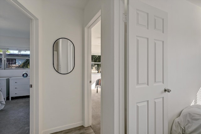 hallway with carpet flooring