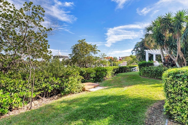 view of yard featuring a pergola