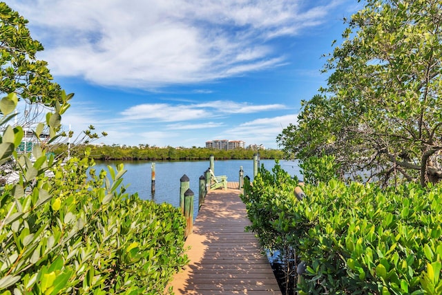 dock area with a water view