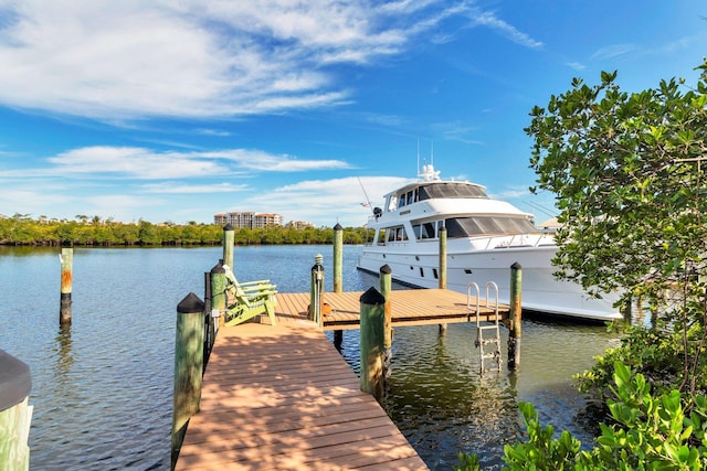 dock area with a water view