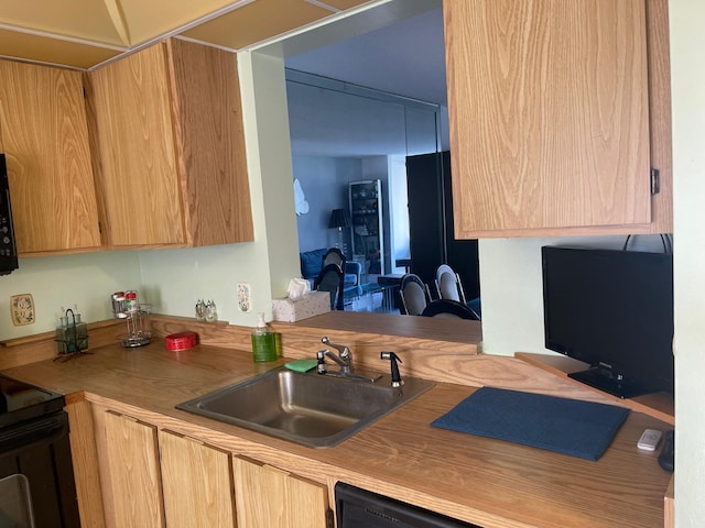 kitchen featuring sink, black appliances, and light brown cabinets