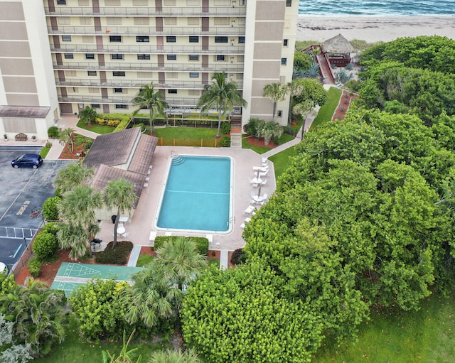 view of pool featuring a water view and a view of the beach