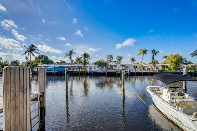 dock area with a water view