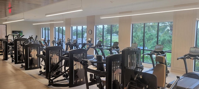 exercise room with light hardwood / wood-style floors