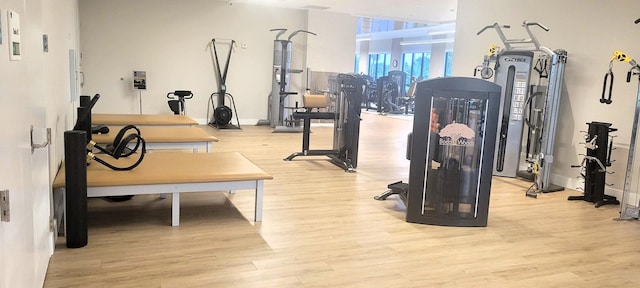 exercise room featuring light hardwood / wood-style floors