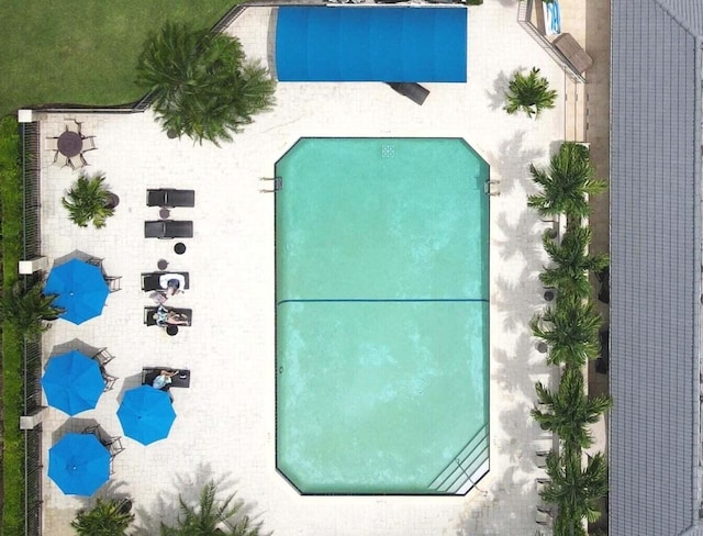 view of swimming pool