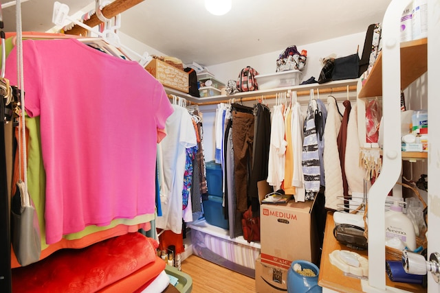 spacious closet with hardwood / wood-style floors