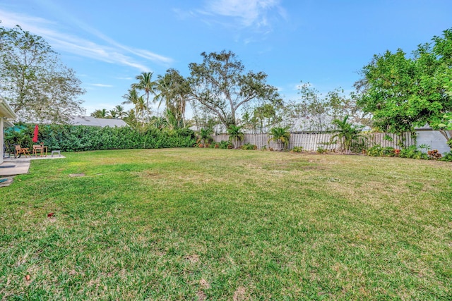 view of yard featuring a fenced backyard