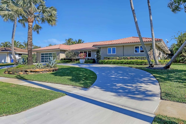 ranch-style house with a front lawn