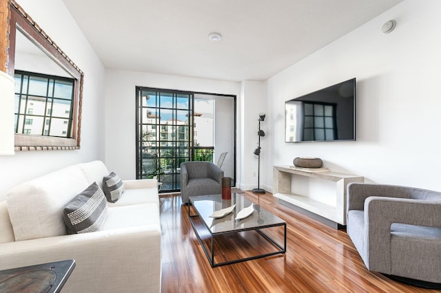 living room featuring hardwood / wood-style floors and plenty of natural light