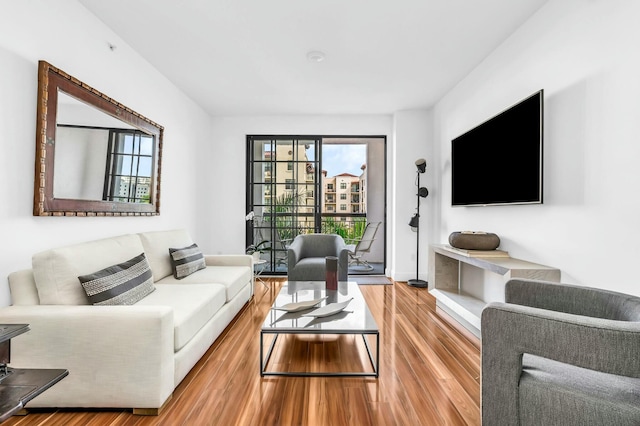 living room featuring hardwood / wood-style floors