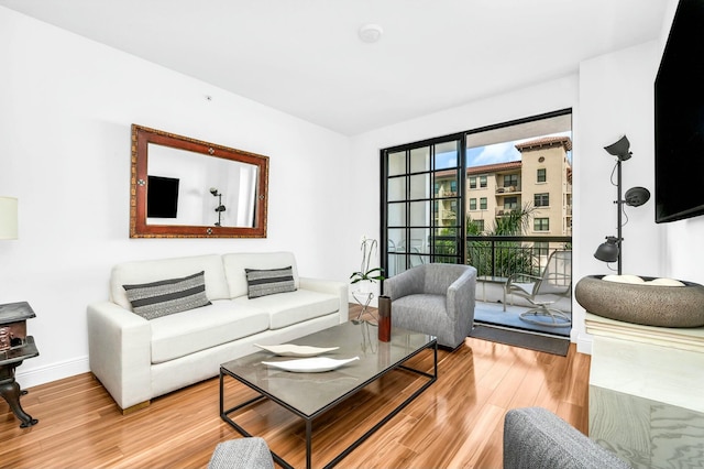 living room featuring light wood-type flooring