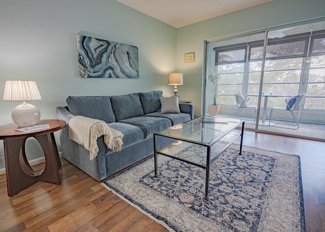 living room featuring wood-type flooring