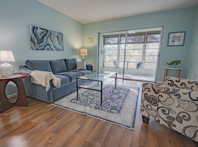 living room featuring hardwood / wood-style floors and a textured ceiling