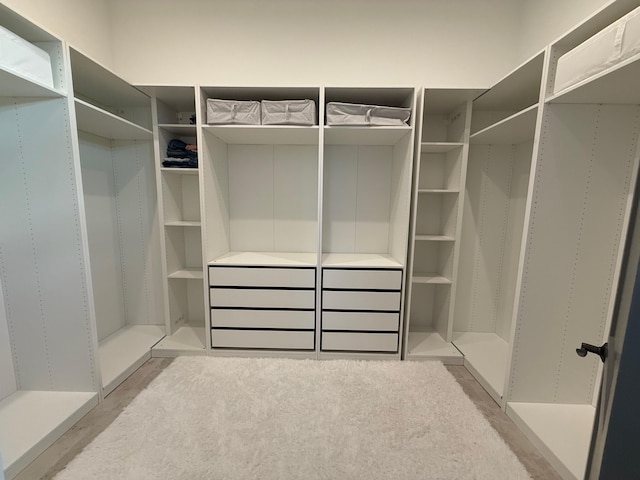 view of walk in closet