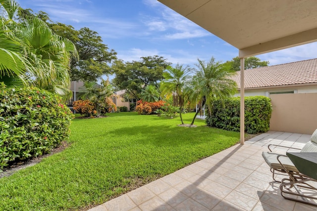 view of yard featuring a patio area