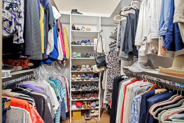 view of spacious closet