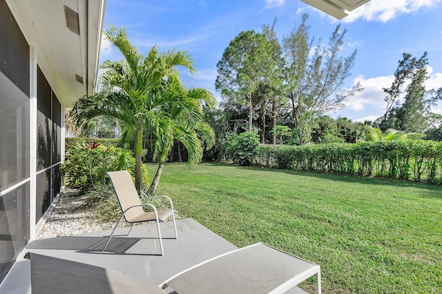 view of yard featuring a patio area