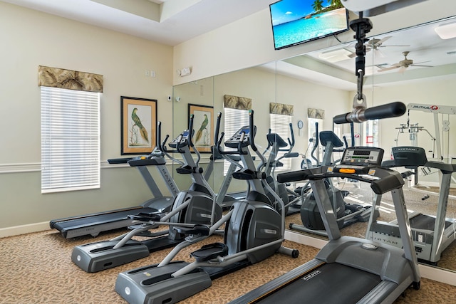 exercise room featuring a tray ceiling, ceiling fan, and carpet