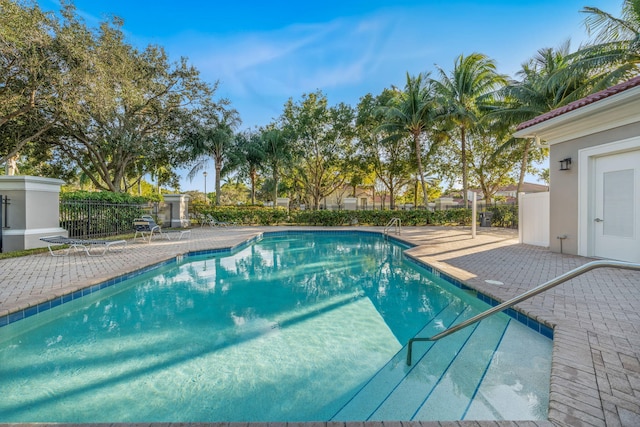 view of pool with a patio