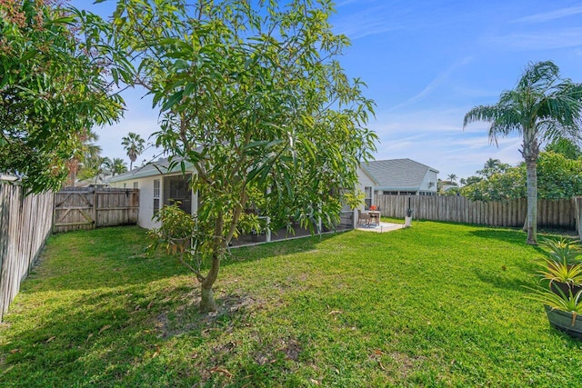 view of yard with a patio