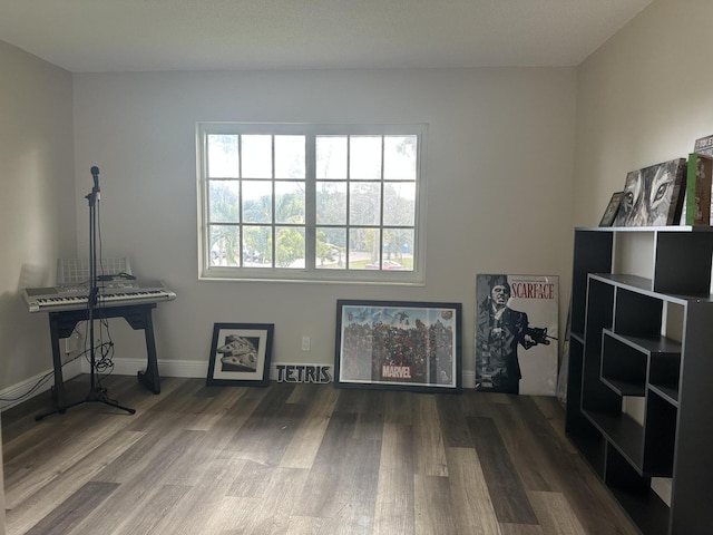 miscellaneous room featuring hardwood / wood-style flooring