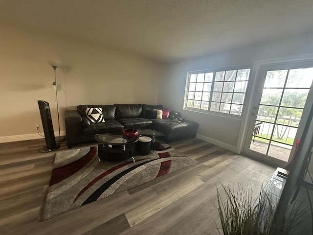 living room featuring hardwood / wood-style flooring