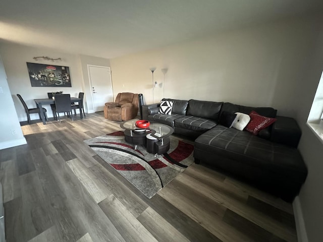 living room with hardwood / wood-style flooring