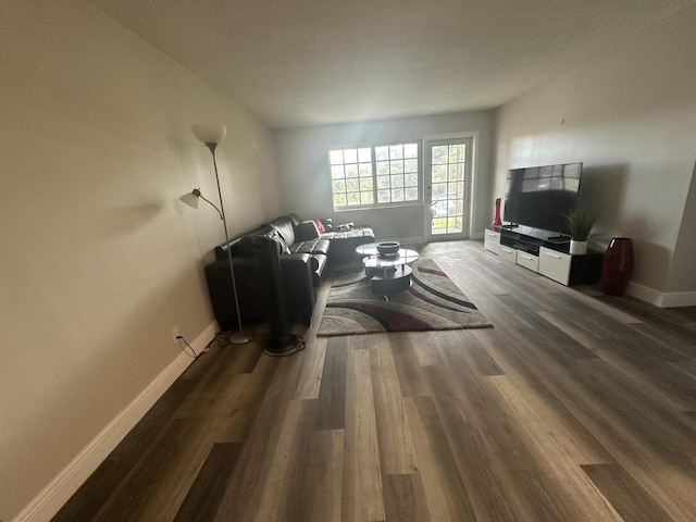 living room with dark hardwood / wood-style flooring