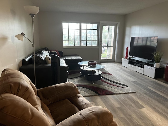 living room featuring hardwood / wood-style flooring