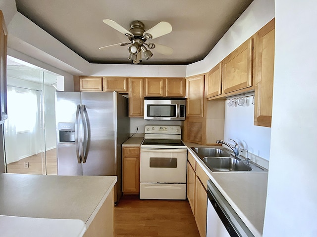 kitchen with hardwood / wood-style flooring, appliances with stainless steel finishes, sink, and ceiling fan