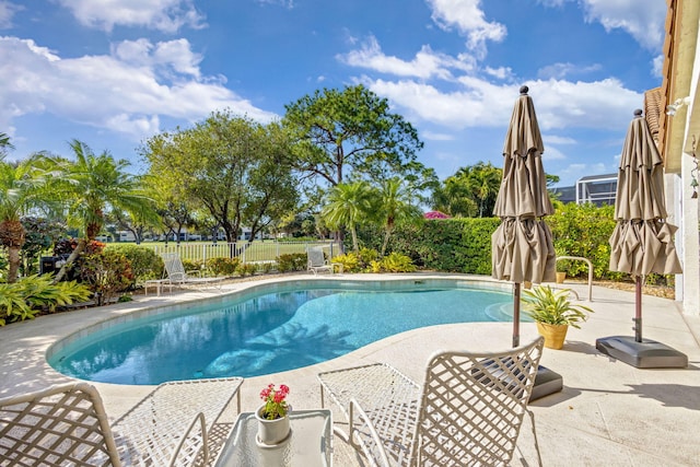 view of pool with a patio