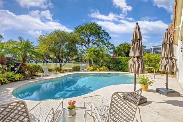 view of swimming pool with a patio and glass enclosure