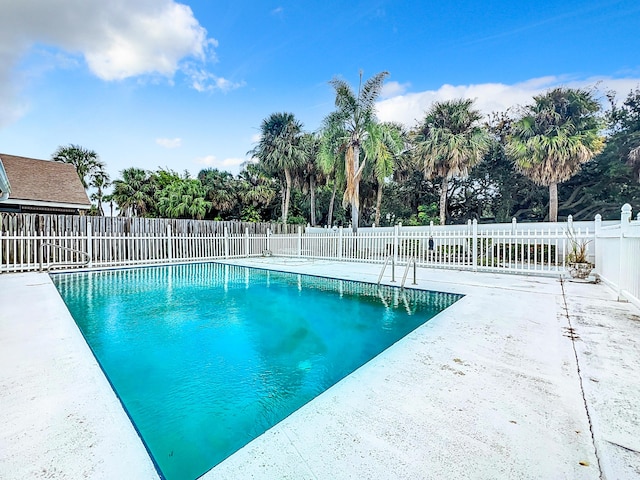 view of swimming pool with a patio