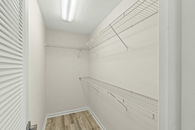 walk in closet featuring light hardwood / wood-style flooring