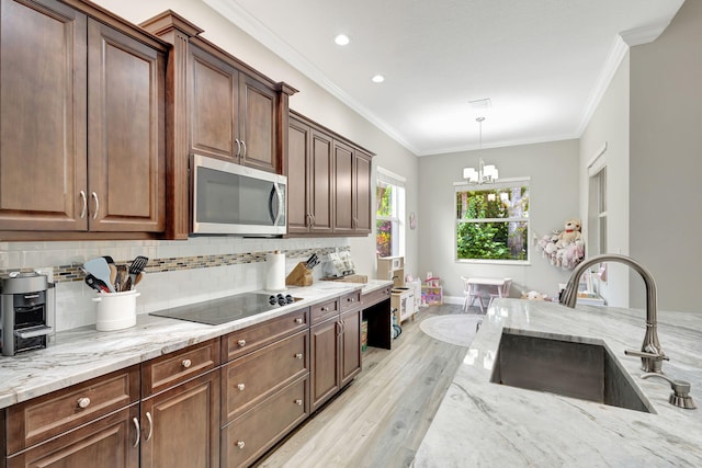 kitchen with sink, tasteful backsplash, light stone countertops, black electric cooktop, and light wood-type flooring