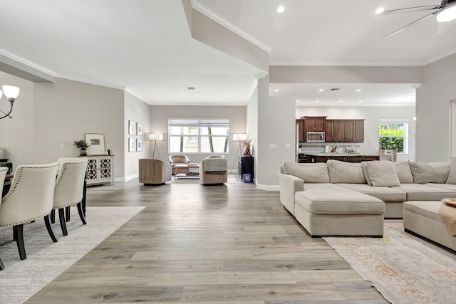 living room featuring ornamental molding, ceiling fan with notable chandelier, and light hardwood / wood-style flooring