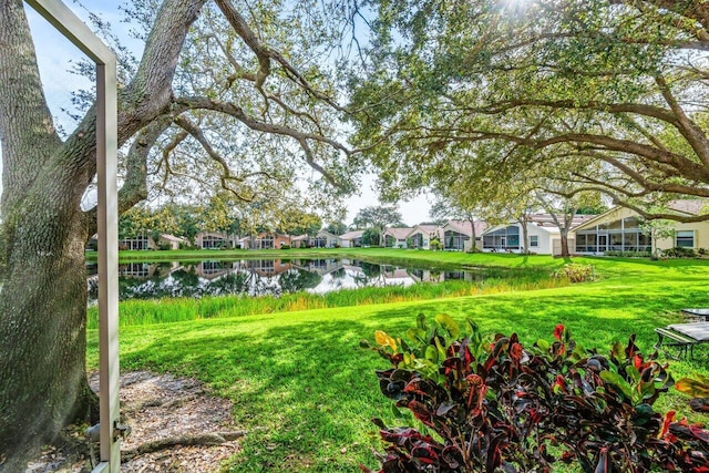 view of property's community with a water view and a lawn