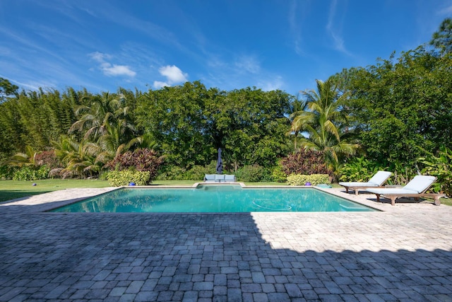 view of pool with a patio