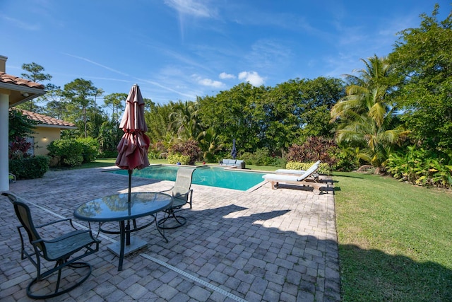 view of swimming pool with a yard and a patio