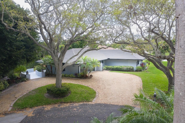 view of front of home with a tiled roof, curved driveway, and a front yard