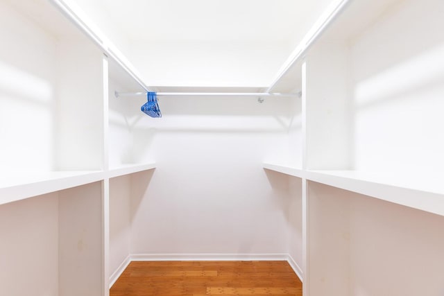 walk in closet featuring wood finished floors