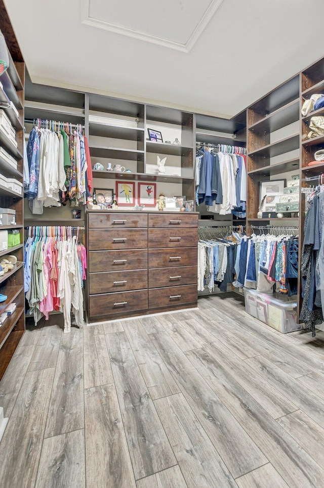 walk in closet with wood finished floors