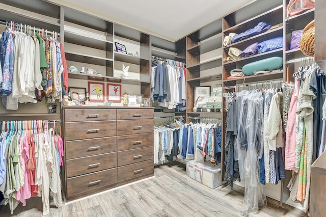 walk in closet with wood finished floors