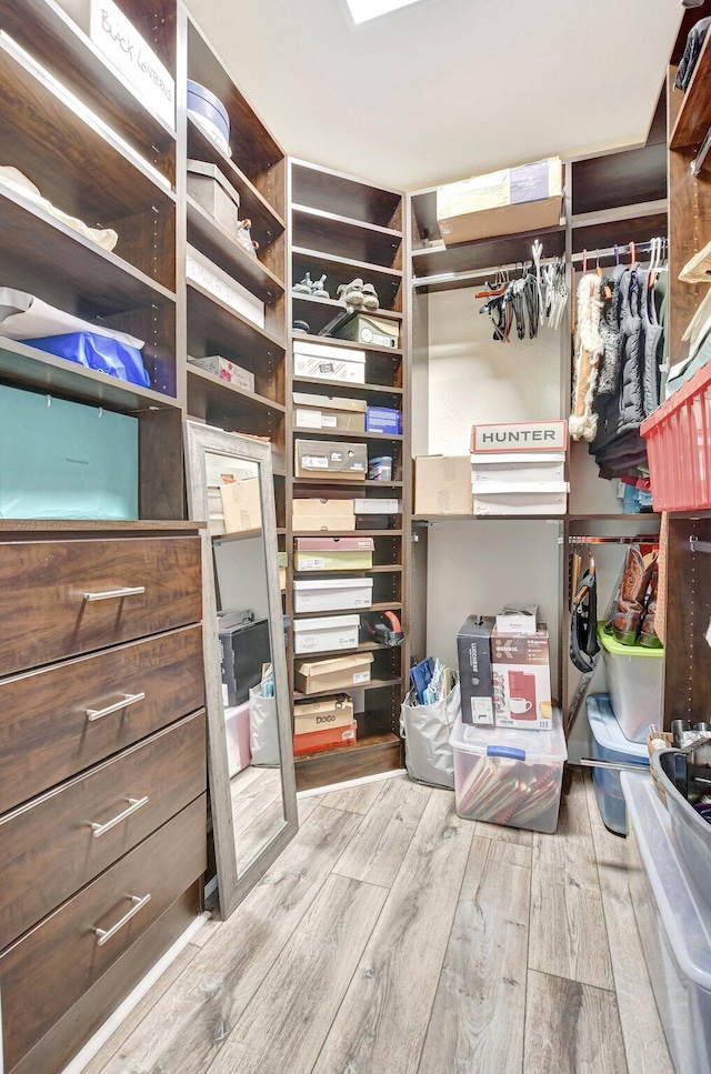 walk in closet featuring wood finished floors