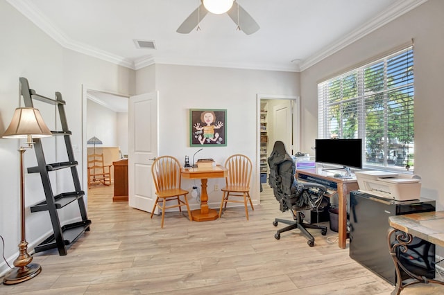 office featuring ceiling fan, ornamental molding, light wood-type flooring, and visible vents